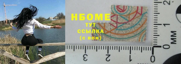 винт Пересвет