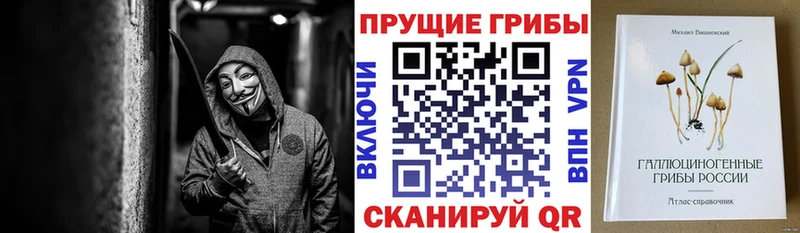 наркотики  Зеленокумск  Псилоцибиновые грибы Psilocybine cubensis 